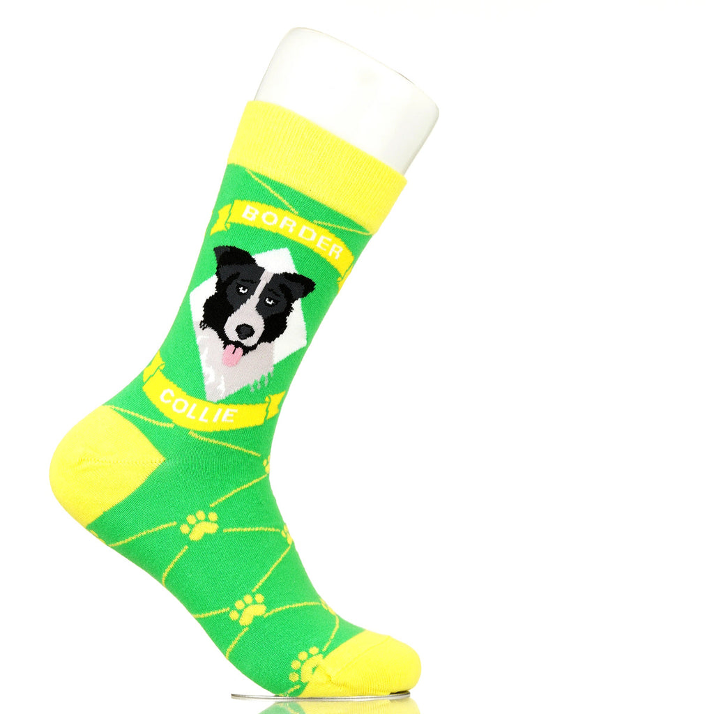 Border Collie | Argyle Pups