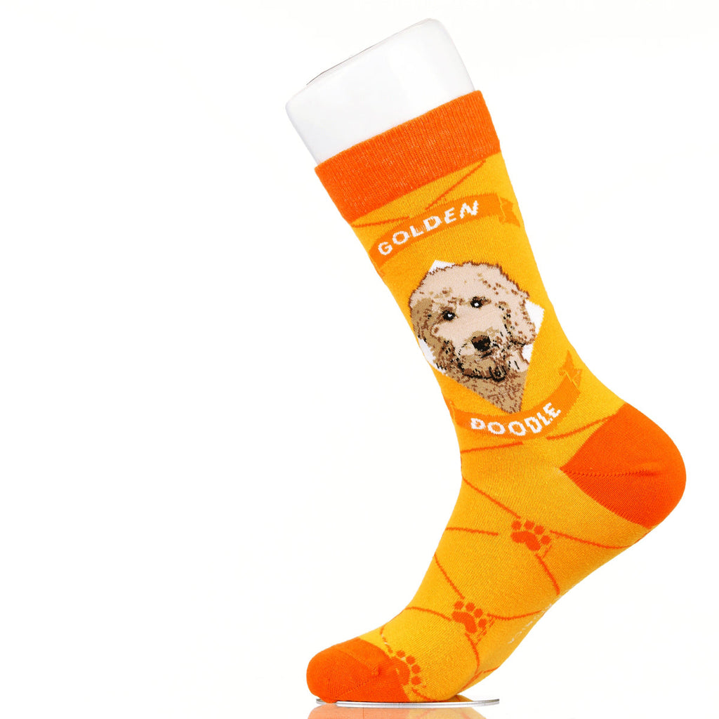 Goldendoodle | Argyle Pups