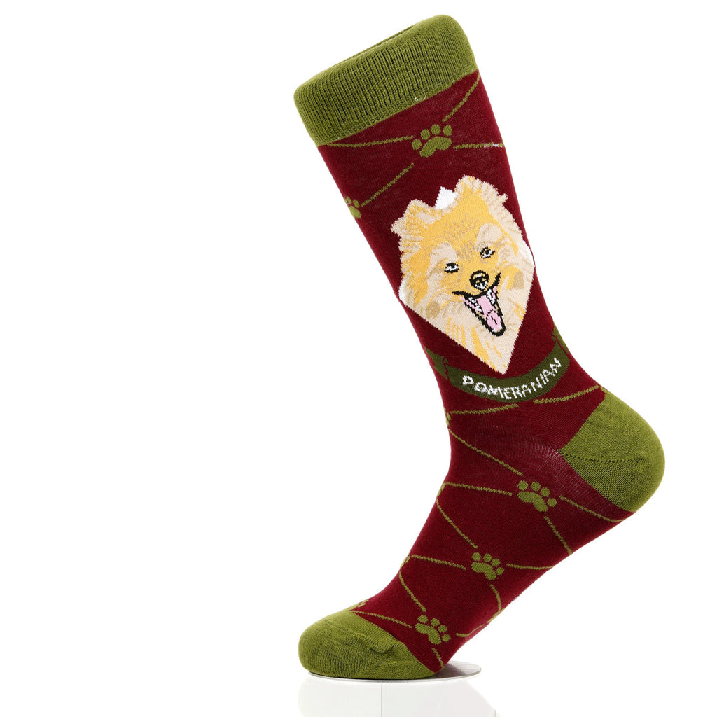 Pomeranian | Argyle Pups